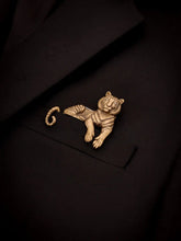 Enigmatic Stripes Brooch